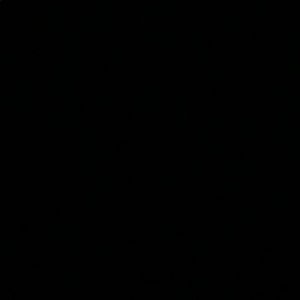 Meet your Posher, Tamika